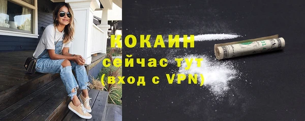 винт Абаза