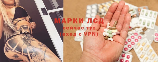 винт Абаза