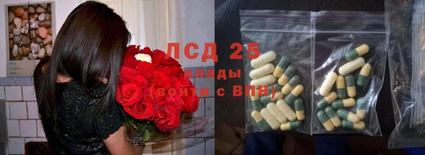 винт Абаза