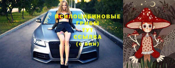 винт Абаза