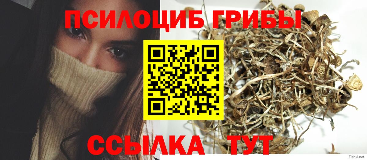 Галлюциногенные грибы GOLDEN TEACHER  что такое   Киров  Вход с VPN 